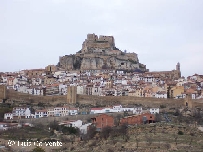 Morella