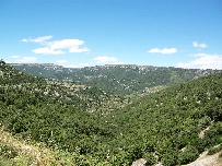 Ermita de L'Avellà